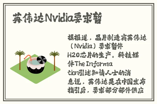 萝拉泷泽种子